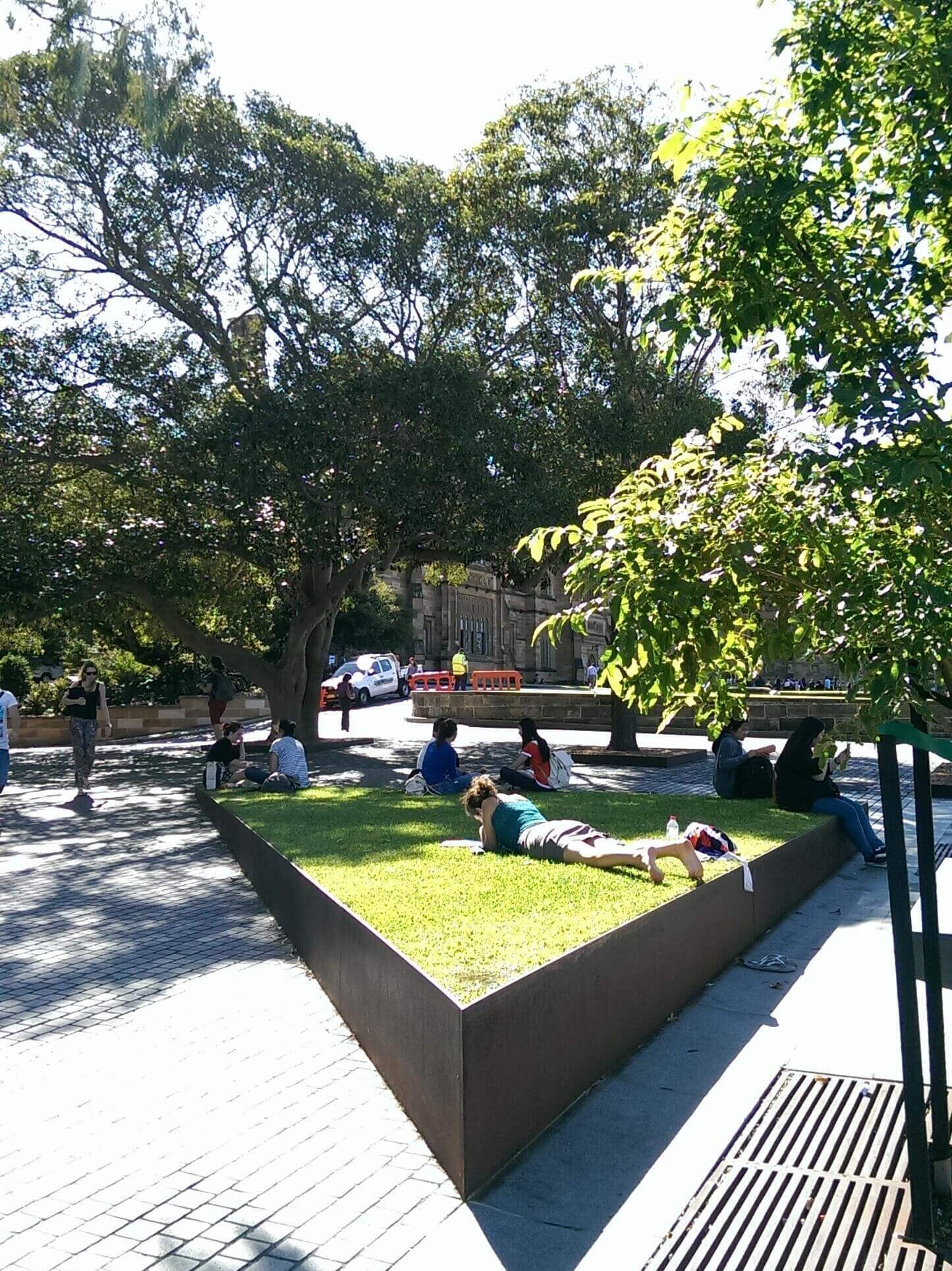 Studenten auf dem Campus der University of Sydney