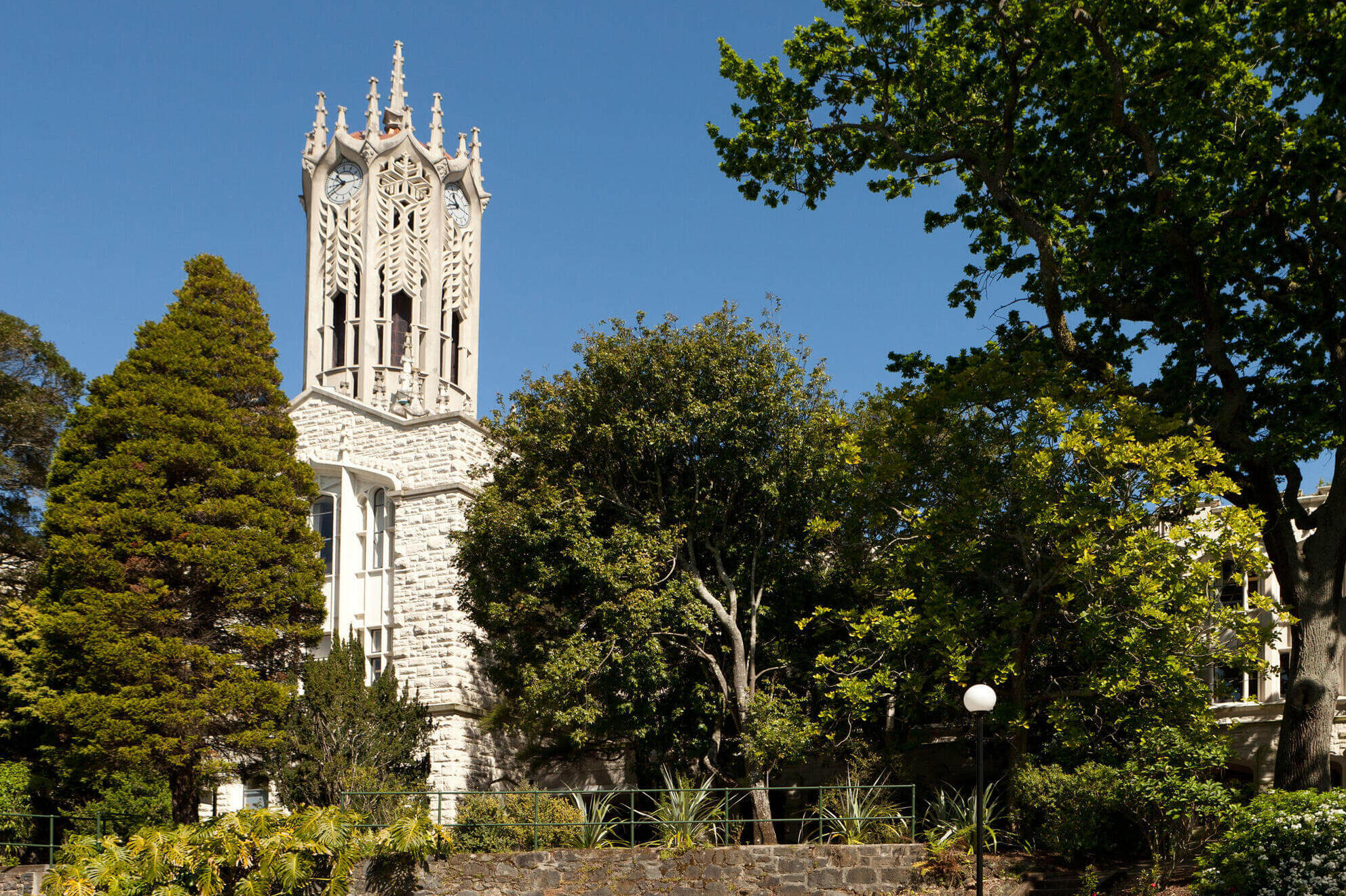 Studium an der University of Auckland in Neuseeland