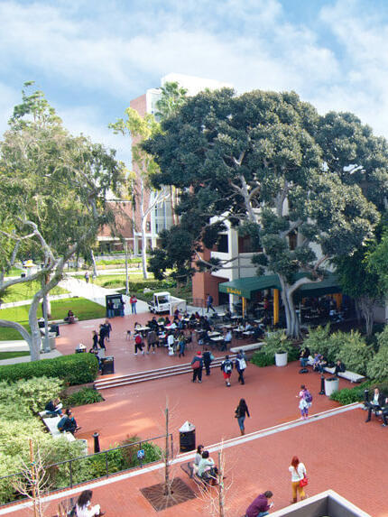 Studiere auf dem Campus der CSULB in Kalifornien