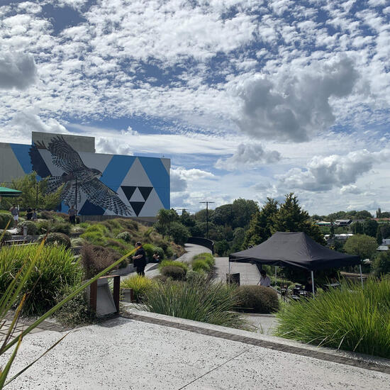 Ann-Katrins Blog: Orientierung und Ankunft an der University of Waikato