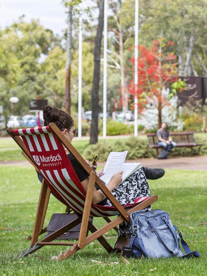 Studiere an der Murdoch University in Perth